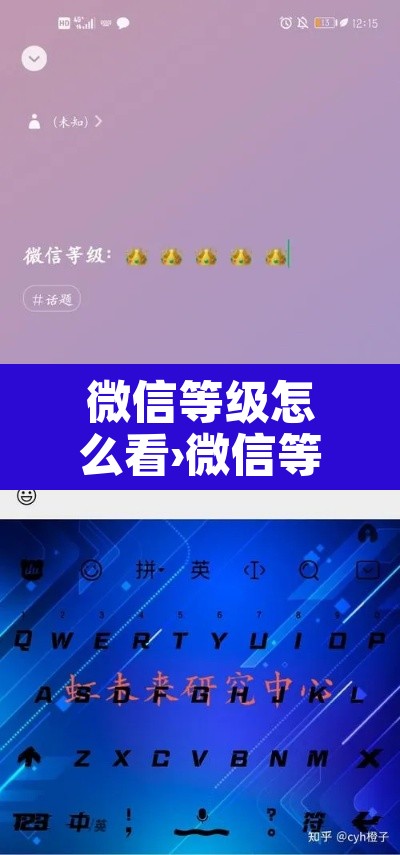 微信等级怎么看›微信等级怎样查看 微信等级怎么看›微信等级怎样查看