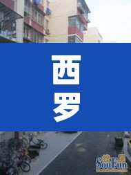 西罗园一区疫情 → 西罗园疫情情况 西罗园一区疫情 → 西罗园疫情情况