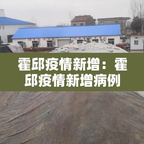 霍邱疫情新增：霍邱疫情新增病例