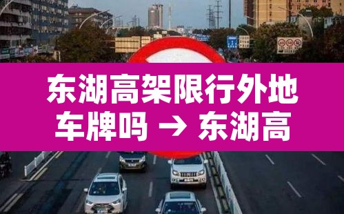 东湖高架限行外地车牌吗 → 东湖高架路限号吗