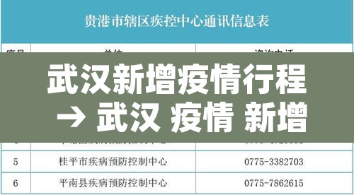 武汉新增疫情行程 → 武汉 疫情 新增 武汉新增疫情行程 → 武汉 疫情 新增