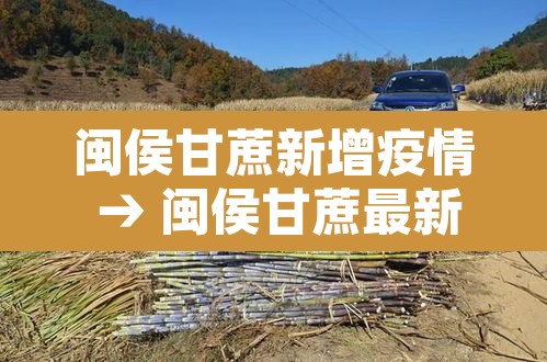 闽侯甘蔗新增疫情 → 闽侯甘蔗最新新闻