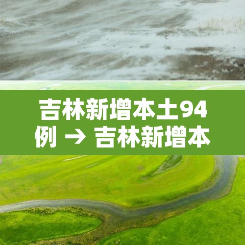 吉林新增本土94例 → 吉林新增本土病例行程轨迹 新闻 吉林新增本土94例 → 吉林新增本土病例行程轨迹 新闻