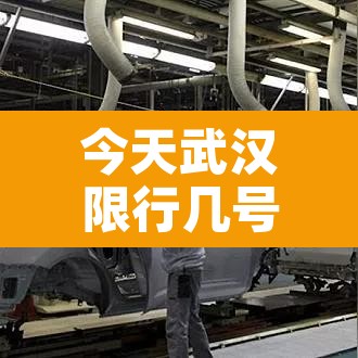 今天武汉限行几号到几号—（今天武汉限行几号到几号结束）