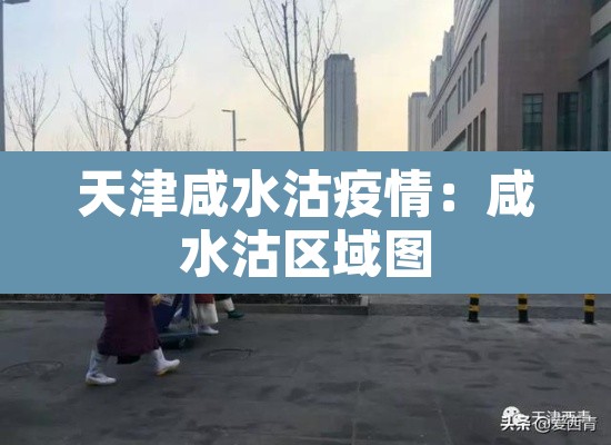 天津咸水沽疫情:咸水沽区域图 天津咸水沽疫情:咸水沽区域图